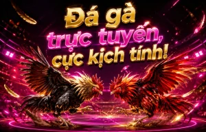 Giao diện sảnh Đá Gà prophyandpolish
